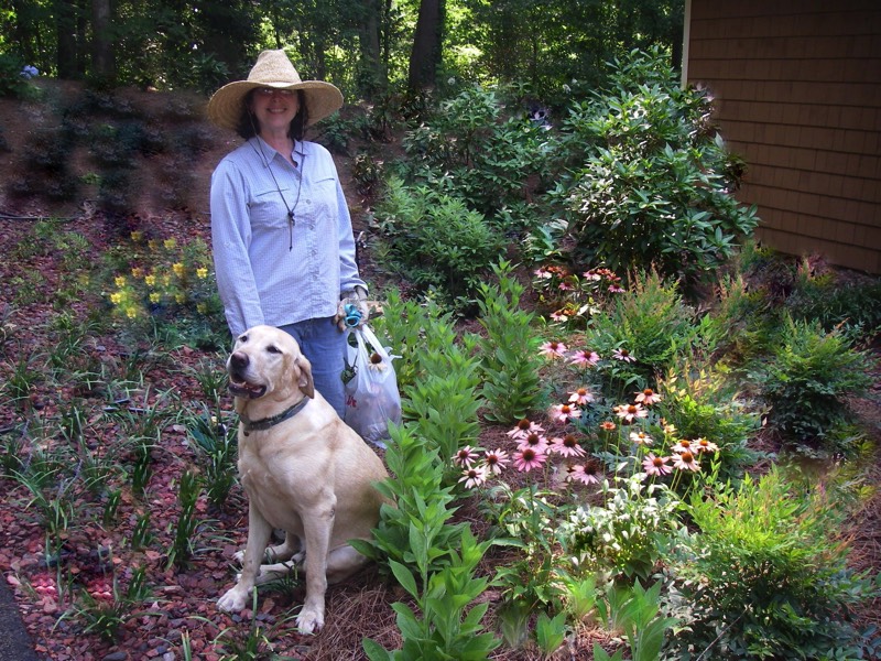 Plants that dogs can sit and walk on